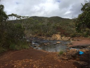 image23